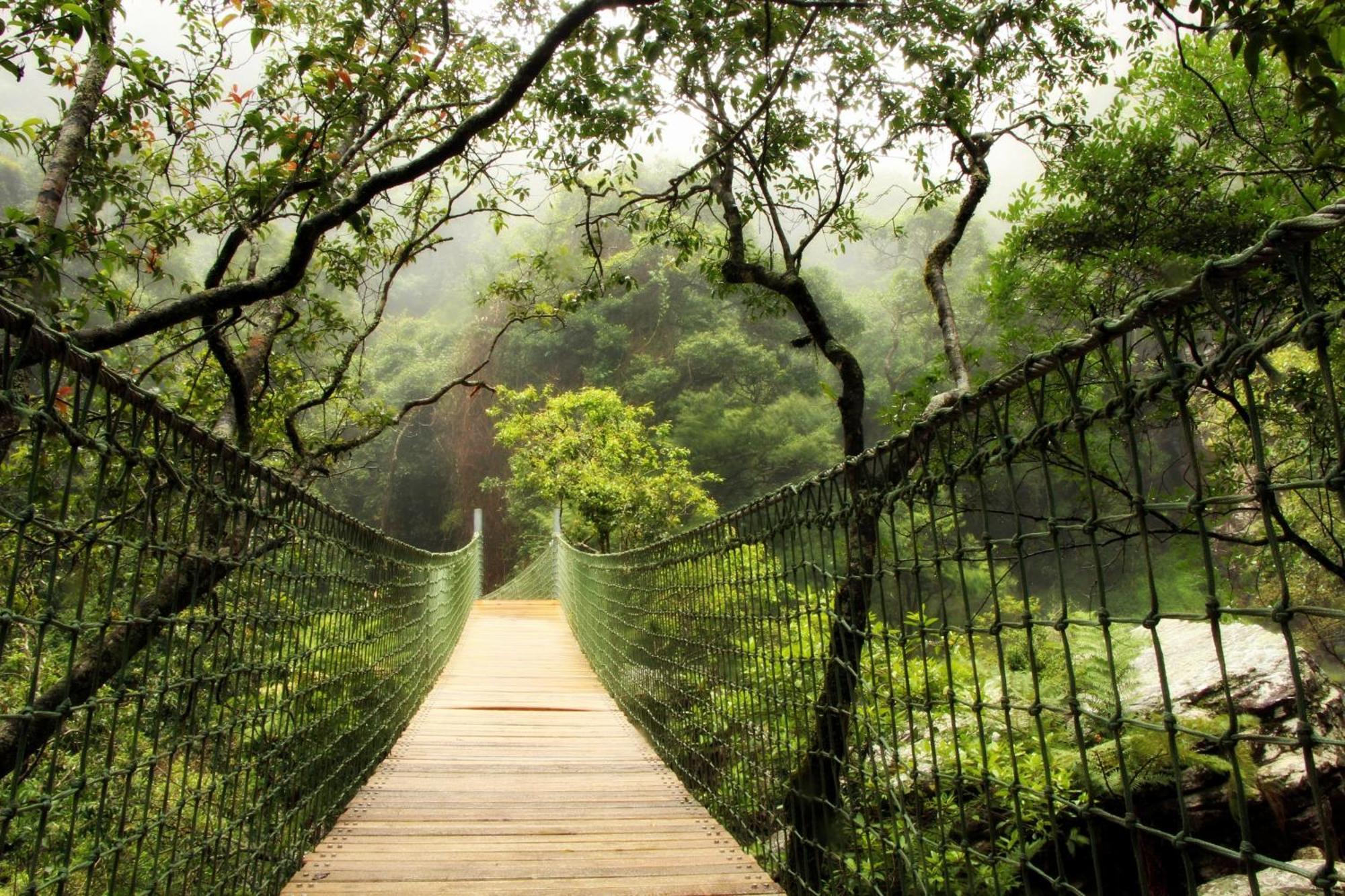 Mogodi Lodge Graskop Dış mekan fotoğraf